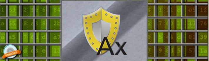 AxProtector exposed - Integrity protection of a modular application
