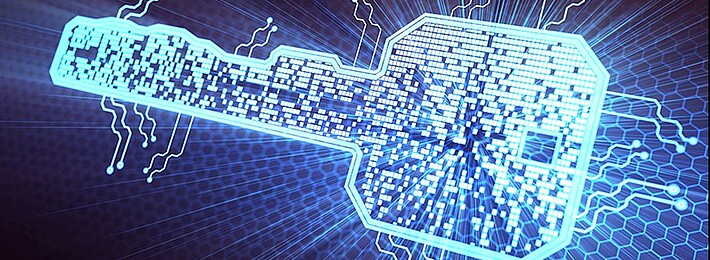Software Security and Code Integrity The Key to Software Security and Code Integrity