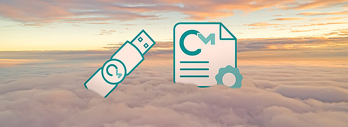 Offline Licenses