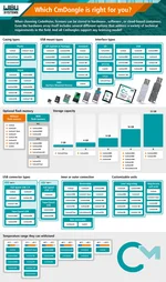 Infographic-Dongles