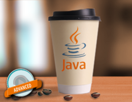 A guided protection system for Java applications A guided protection system for Java applications