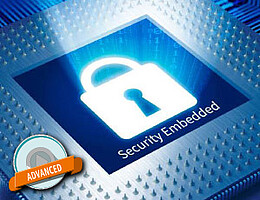Embedded security in ARM-based microcontrollers Embedded security in ARM-based microcontrollers