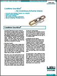 Flyer: CodeMeter SmartBind